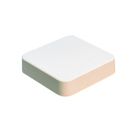  In-Therm ME323ZGB Hub Zigbee/Wi-Fi